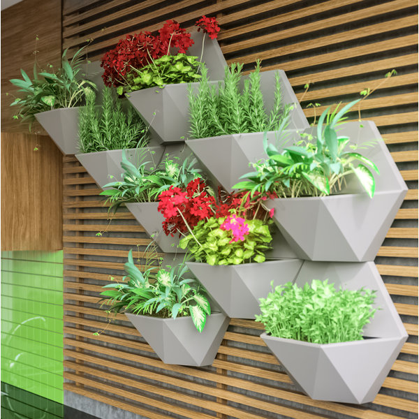 Wrought Studio Annemore 4Piece Plastic Wall Planter Set & Reviews